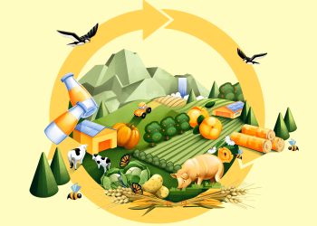 Ressourceneffizienz und Kreislaufwirtschaft in der Land- und Forstwirtschaft (Symbolbild); Bildnachweis/Illustration: RFA/Chiara Vercesi