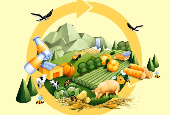 Ressourceneffizienz und Kreislaufwirtschaft in der Land- und Forstwirtschaft (Symbolbild); Bildnachweis/Illustration: RFA/Chiara Vercesi